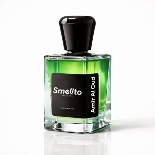 amir al oud perfume 50 ml bottle
