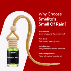 smell of rain car perfume fragrance notes image smell of rain car perfume fragrance notes image
