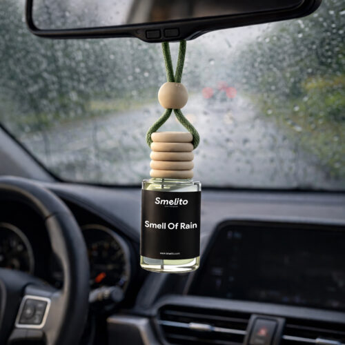 smell of rain car perfume hanging in car rear view mirror